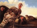 Domestic Fowl Landschaftsmaler Aelbert Cuyp